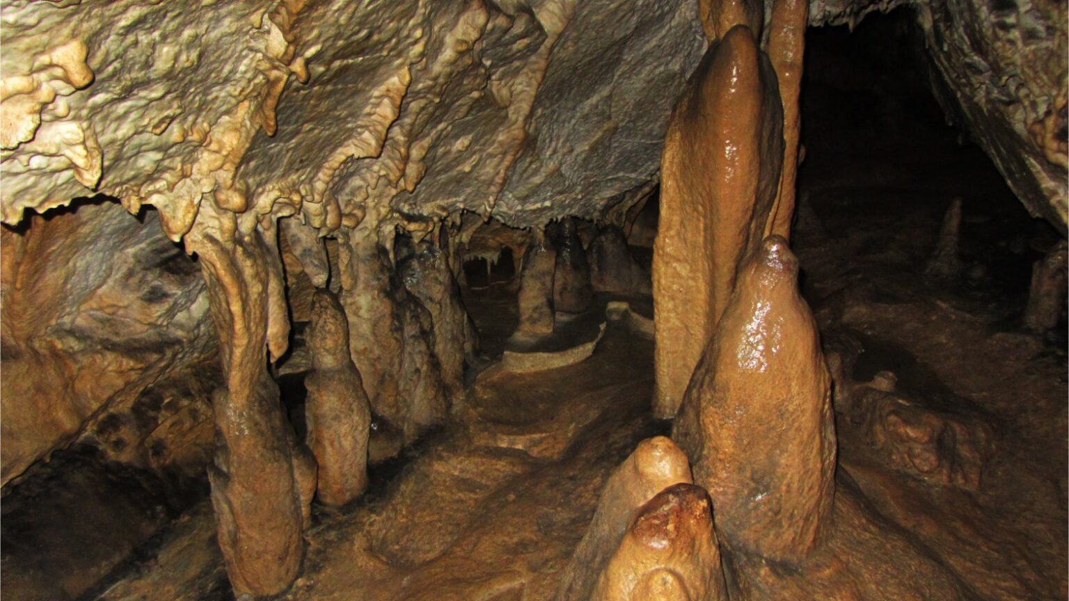 Ötscher Tropfsteinhöhle bei Gaming: Tropfsteine und Sinterformationen im Inneren der Schauhöhle